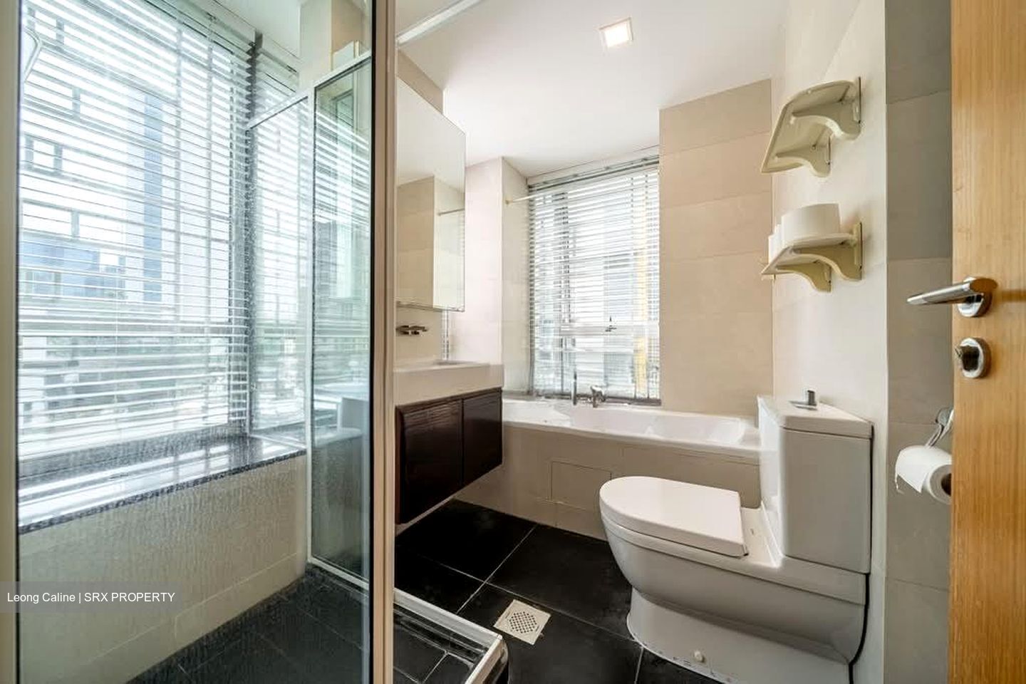 Iridium (D11), Apartment #573905451